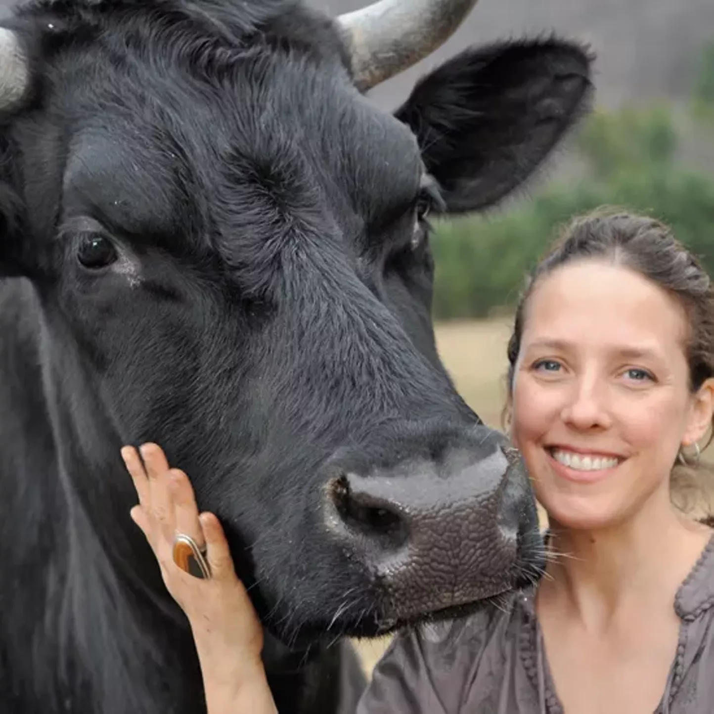 Woodstock Farm Animal Sanctuary Shopping Hudson Valley Chronogram