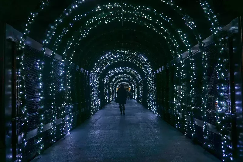 The Festival of Lights at the Cincinnati Zoo - PHOTO: ADAM DOTY