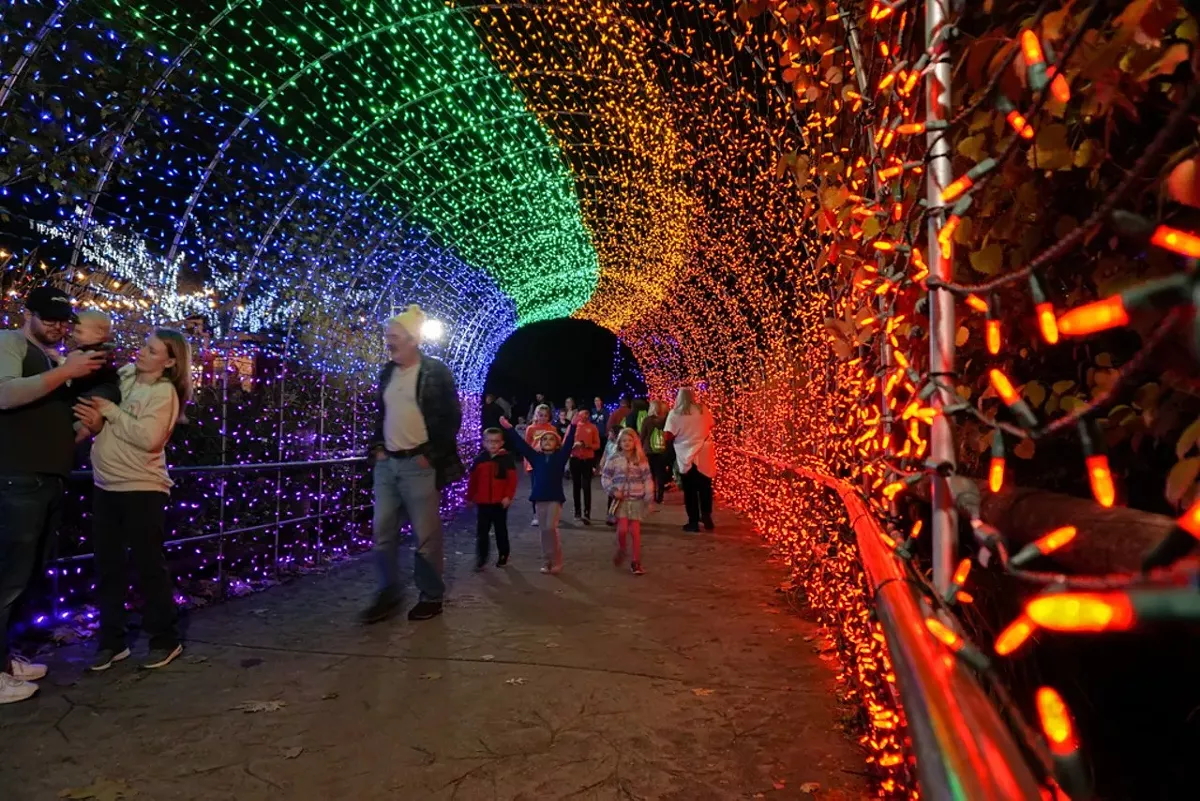 Cincinnati Zoo's Festival of Lights Wins Best Zoo Lights Award from 'USA Today' | Culture | Cincinnati - Vimarsana News