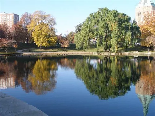 Wade_Park_Lagoon_-_Yelp_User_Cara_L..jpg