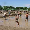 1390723.t.jpg