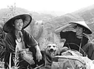 A son's three-day journey with his father leads him to - newfound admiration and love.