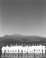 All smiles: The Polyphonic Spree's buoyant pop is - infectious and uplifting.