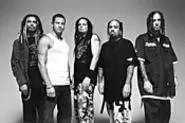 Amid his bandmates' exotic hairstyles, David Silveria - (second from left) stands out like an unpopped kernel.