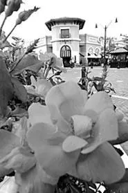 Brio: Like dining in a Roman villa, only faster. - WALTER NOVAK