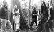 Bustling in the hedgerow: For Down II, the band - got in touch with its organic side.