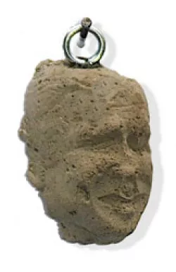 1582_s_hbushit.jpg