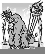 DiLiberto envisions NOPEC's role as that of a consumer-guarding gorilla. - MARK POUTENIS