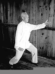 Everybody stretch now! T'ai Chi, part of the Iron & Silk - Visiting Masters Series.