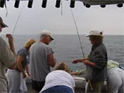 1390674.t.jpg