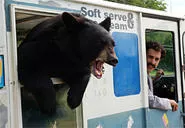Great success: Borat goes wah-wah-wee-wah all over the U.S. and A -- again.