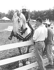 Hay! I need hay! Horses take over Lake Farmpark this - weekend.