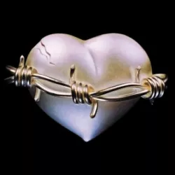 1579_fsheart.jpg