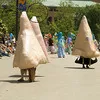 1390786.t.jpg