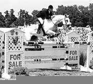 Horses do the hunting and jumping thing.