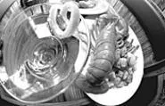 How fresh is it? That Maine lobster was alive till you - ordered it. - WALTER NOVAK
