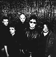 Ian McCulloch (shades) and the rest of the greatest band - in the world.