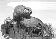 Its a Wonderful Life: Jason Sleurss animal - paintings can be seen at Spaces through May 14.
