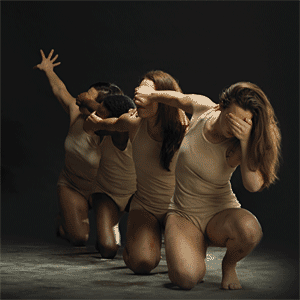 1392135.t.gif