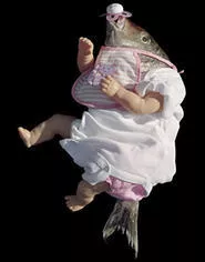 Jane Critchlows Reborn exhibit: The stork that delivered this one was flying high . . . really high.