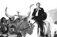 Jerry Falwell, circa 1984, when he was content to ride large farm animals instead of blaming terrorist attacks on gay people. - AP PHOTO/DAVID BRESLAUER