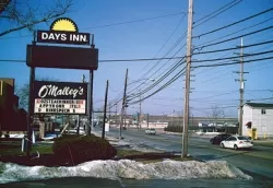 1593_lustdaysinn.jpg