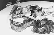 Pan-Seared Tournedos of Beef With Sherry Lobster Cream Sauce. - WALTER NOVAK