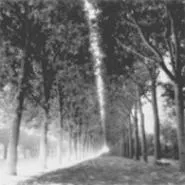 "Parc de Seaux, Paris, France," by Lynn Geesaman, color print.
