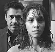 Robert Downey Jr. plays a coworker with the hots for - Dr. Miranda Grey (Halle Berry).