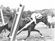 Running and jumping with the equines of the Hunter - Jumper Classic.