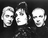 Siouxsie and the Banshees