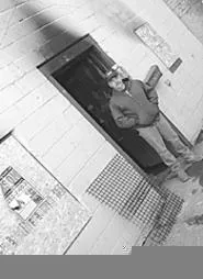 Someone threw a Molotov cocktail into Mike Forst's car shop. - WALTER NOVAK