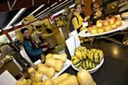 Students enjoy the fruits of Case Western Reserve's "Eat Local Challenge." - WALTER NOVAK