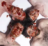 The Animal Collective -- hairy and jammy, just like their music.