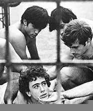The Cinematheques showing Salo, or the 120 - Days of Sodom as part of its controversial-film - series.