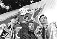 The Fleshtones
