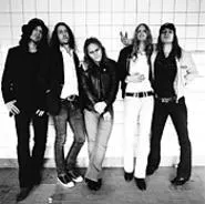 The Hellacopters hope to capitalize on the renewed - interest in guitar-driven rock.