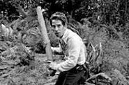The heroes are so unappealing, you may start hoping - that the hillbillies blow them away.
