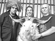 The Melvins