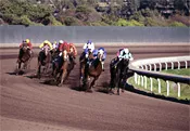 The pleasure of a shot and a beer washes away the pain of watching your horse lose.