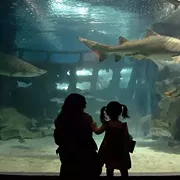 Perfect Ways To Celebrate Mother's Day in Cleveland That Aren't Brunch