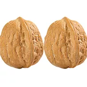 Consider the Testicle