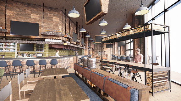 Artist's rendering of Pioneer. - STUDIO K