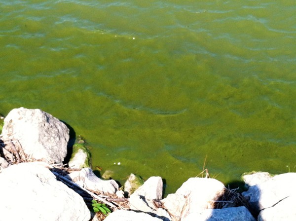 The First 2018 Lake Erie Algal Bloom Forecast Is Here And