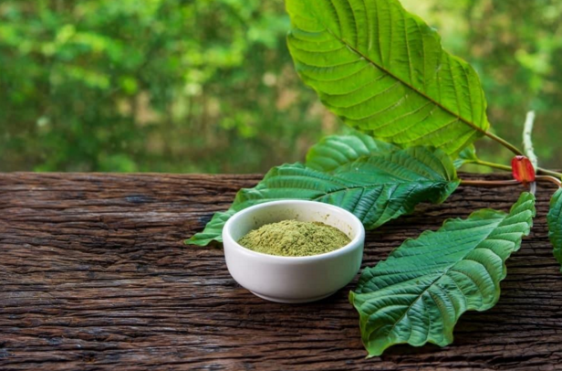 Green Malay Kratom: Focus Your Mind & Relieve Stress | Paid Content