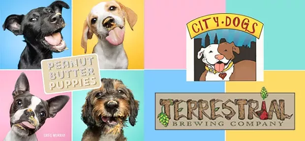 Greg Murray Book Signing & City Dogs Fundraiser - Vimarsana News