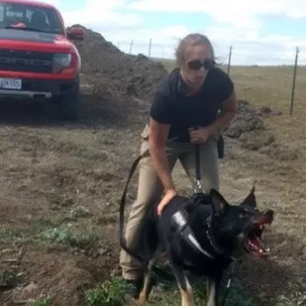 How Did An Ohio Kennel Get Involved In Dakota Access Pipeline Security Scene And Heard Scene S News Blog