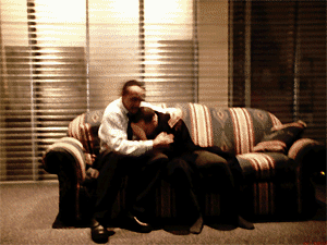 1392092.t.gif