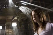 You've never seen another horror film on a sunflower farm quite like this one.