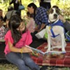 Dog Day afternoons at the library | Community | Savannah News, Events